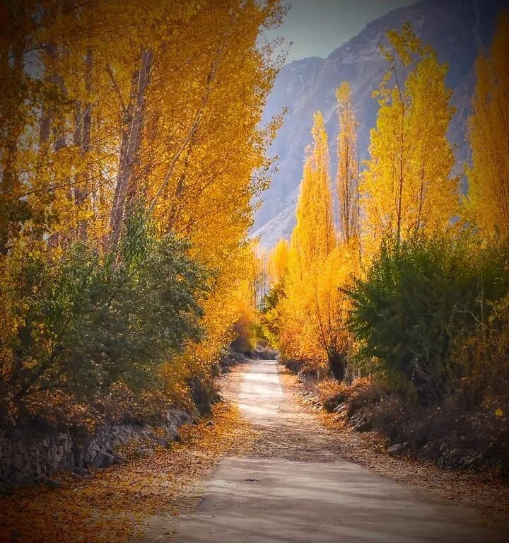 481906219_973108038259348_5109521778175924001_n