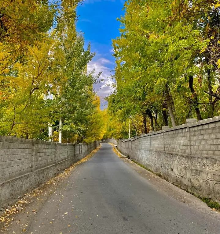 482005462_973111644925654_7719529994580750941_n