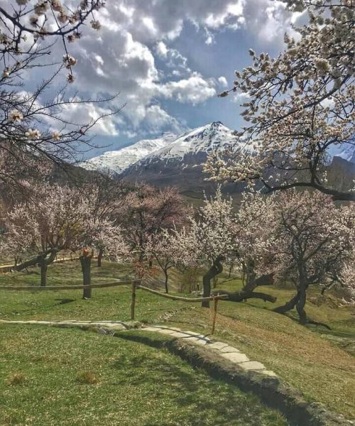 154472772_671270326906892_7289892530787240065_n