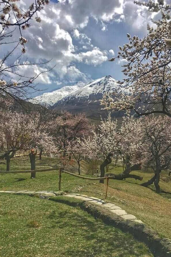 154472772_671270326906892_7289892530787240065_n