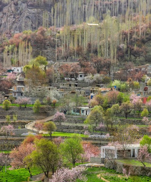 29496756_2049360801946258_4458588391583252480_n