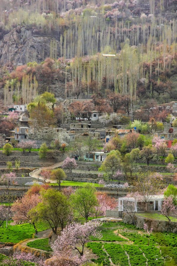 29496756_2049360801946258_4458588391583252480_n