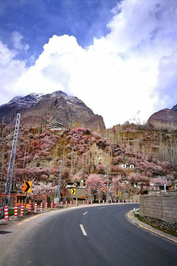 30264364_2056768667872138_32630541584957440_n