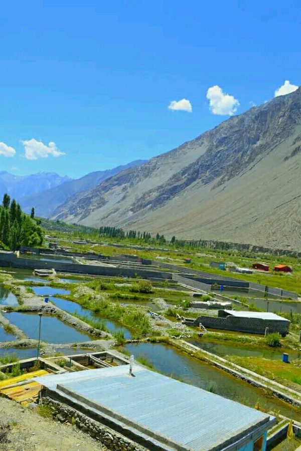 476153706_950499593853526_2574423765061838654_n