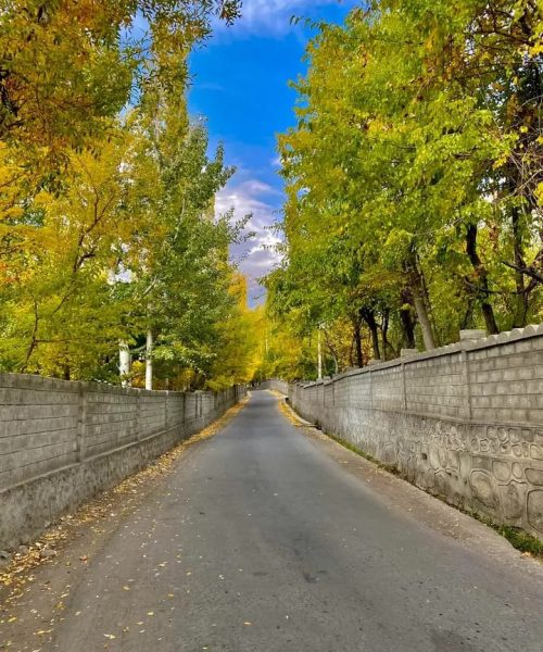 482005462_973111644925654_7719529994580750941_n