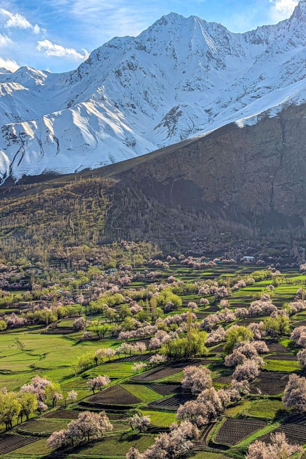 641263083_1486605443468009_5578806451862584358_n