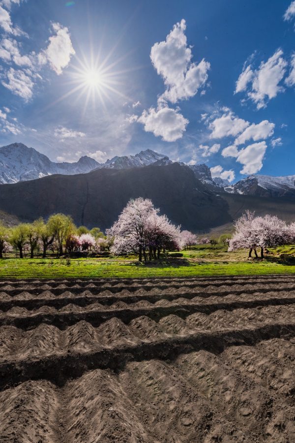 650349933_1507014574737534_5530249611446301809_n