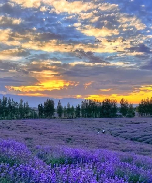 WhatsApp Image 2026-03-28 at 7.53.06 PM (3)