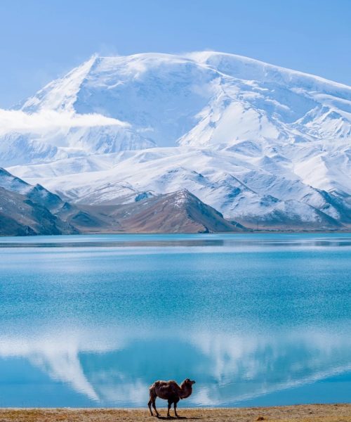 WhatsApp Image 2026-03-28 at 7.53.06 PM (6)